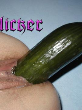  ( ) 